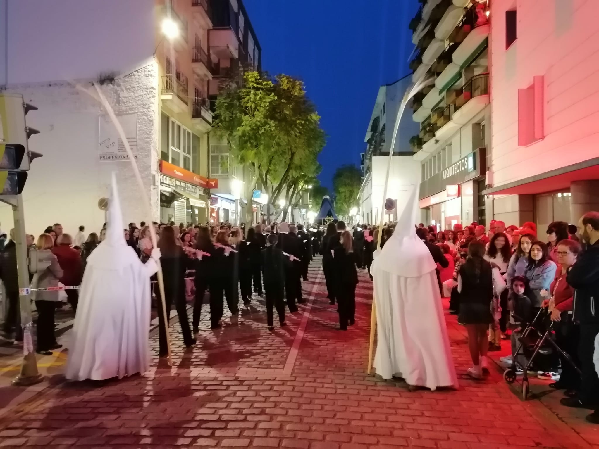 DOMINGO DE RAMOS DBii