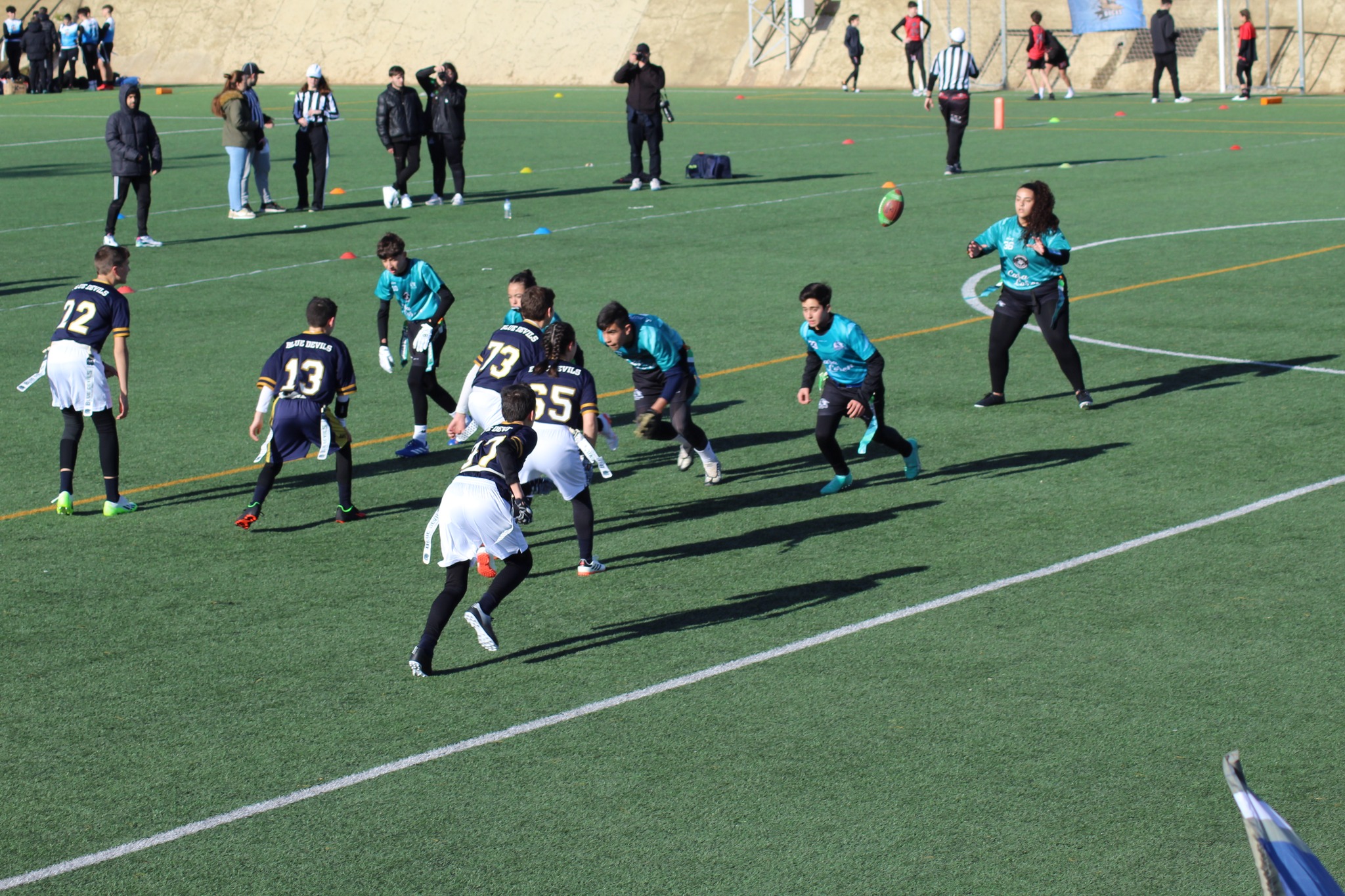 Villanueva Black Storks4