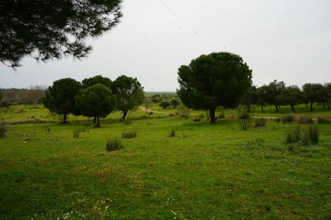 acampada quinto coto semana santa
