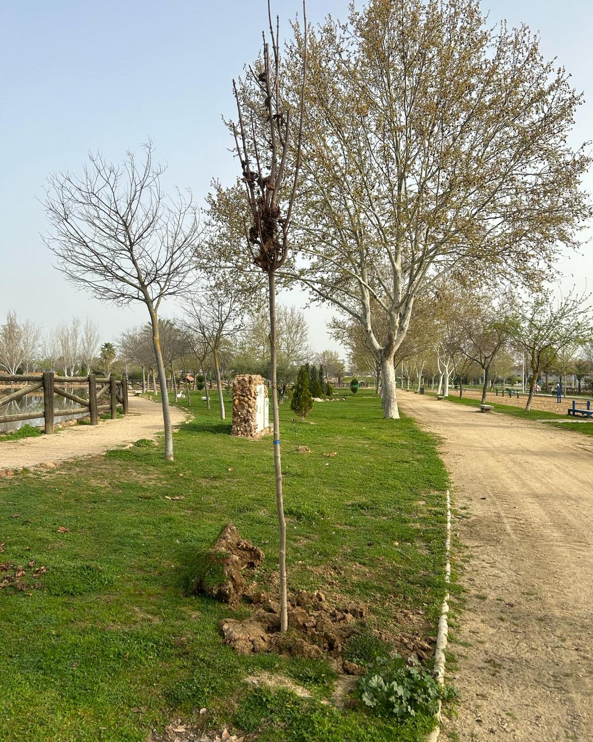 arboles db agrimusa