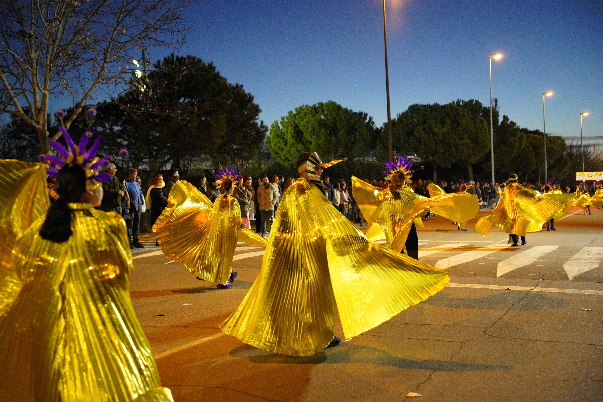 carnaval db13