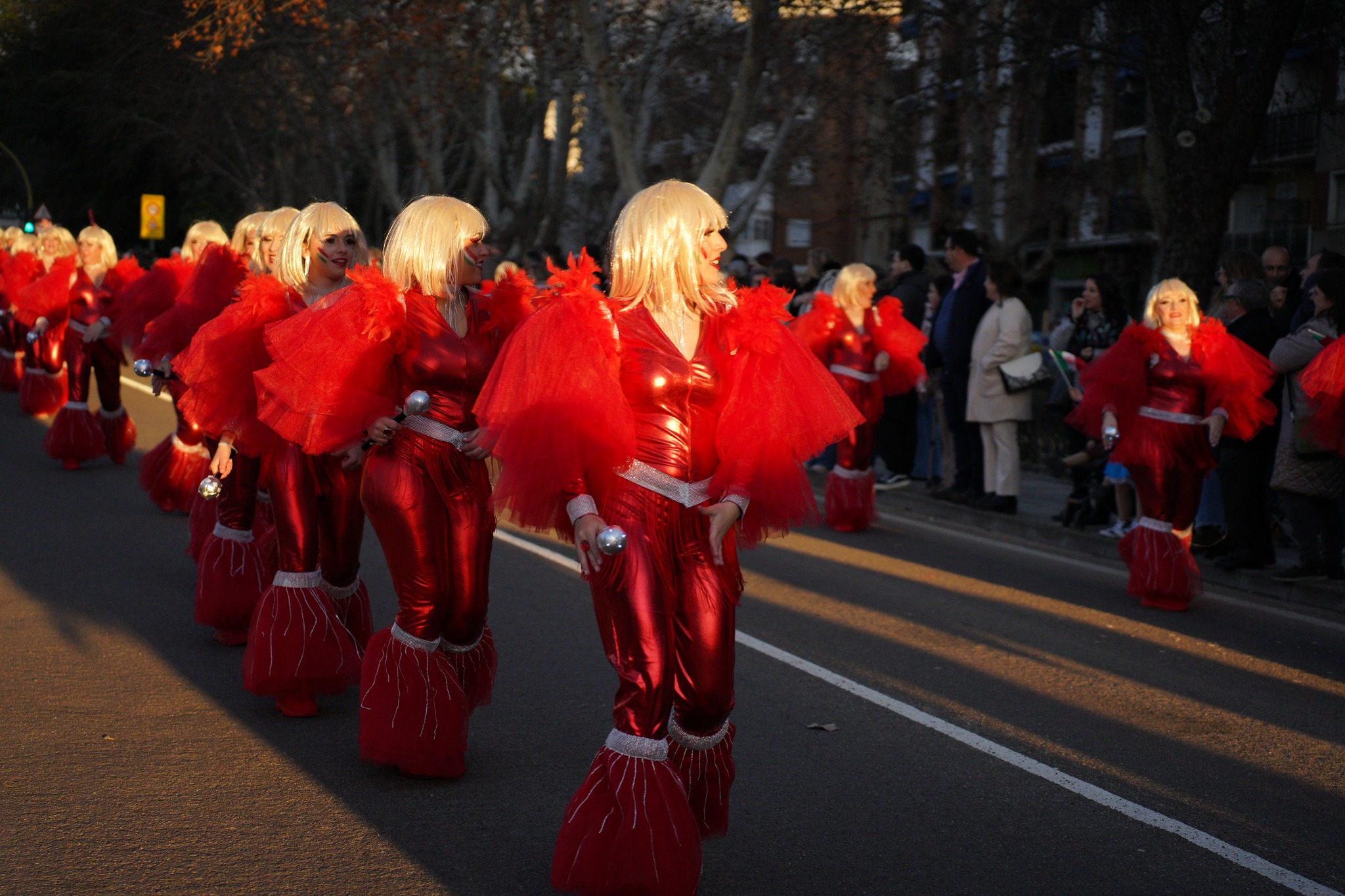 carnaval db8