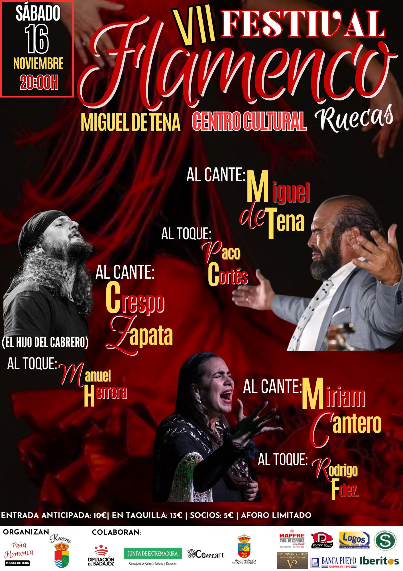 flamenco en ruecas