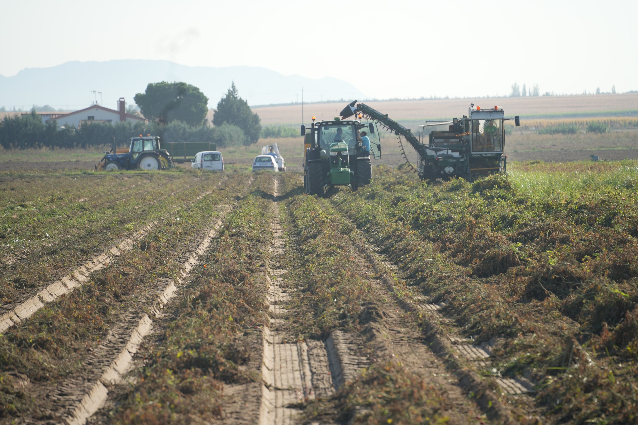 consejo agrario vva campo