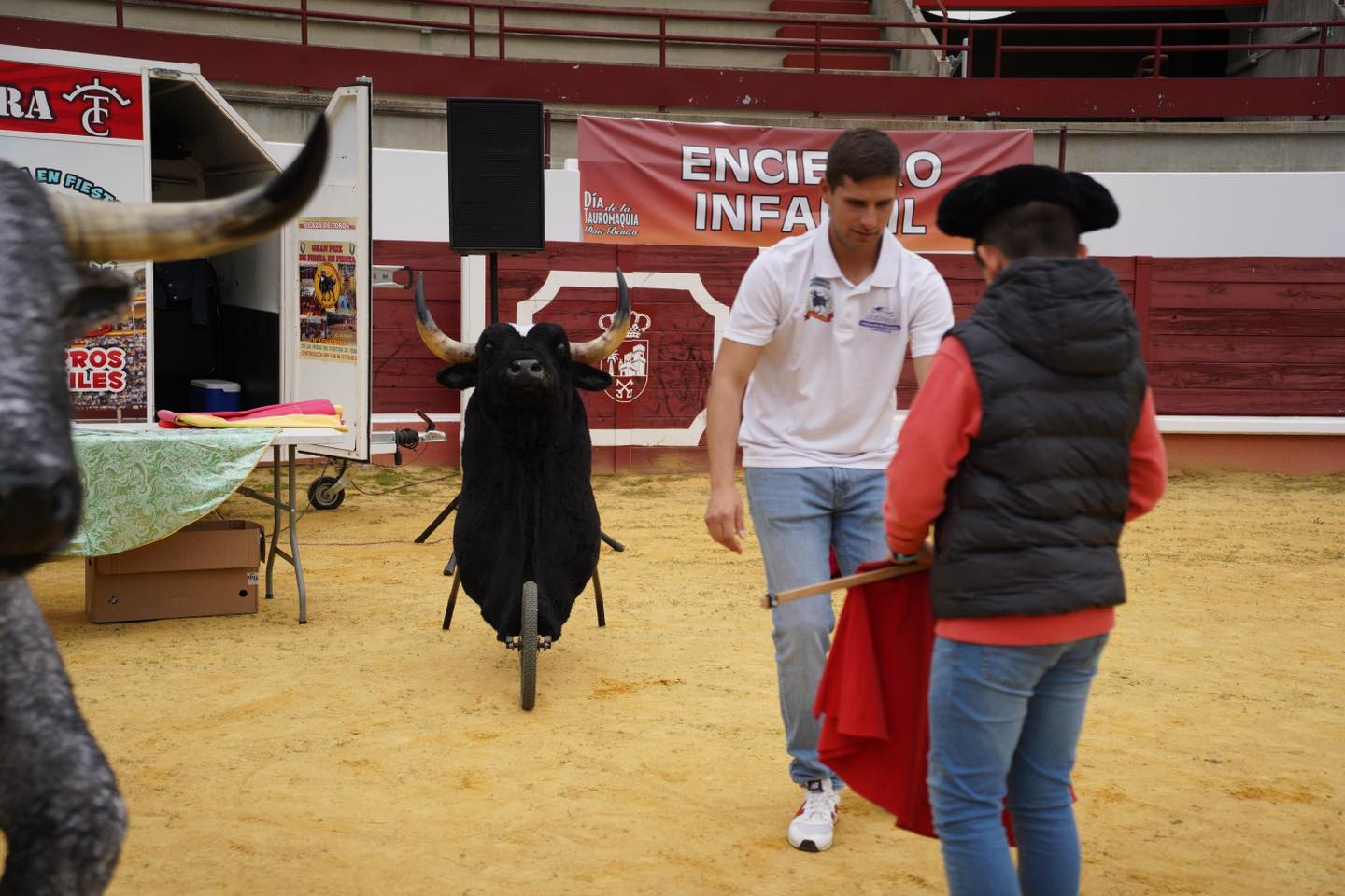 dia de la tauromaquia toro