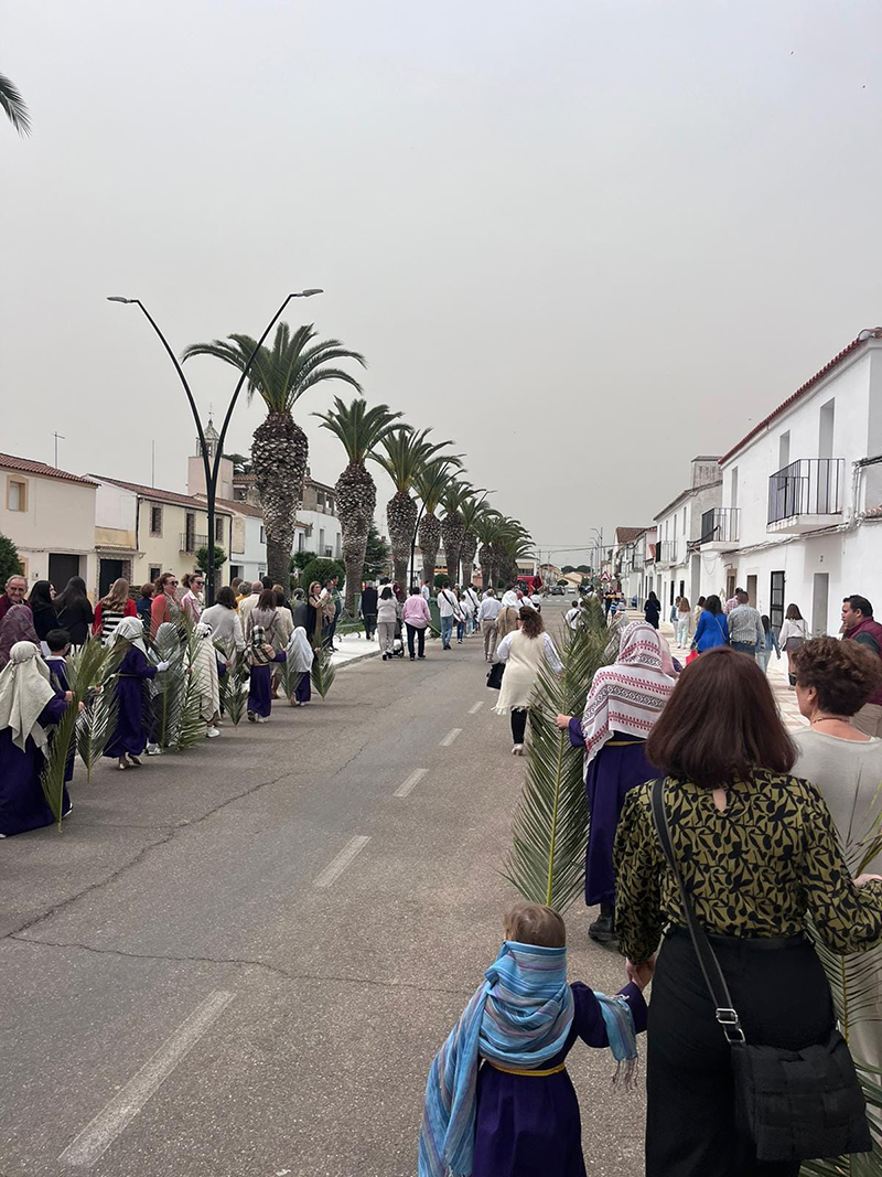 domingo de ramos valdivia calle2