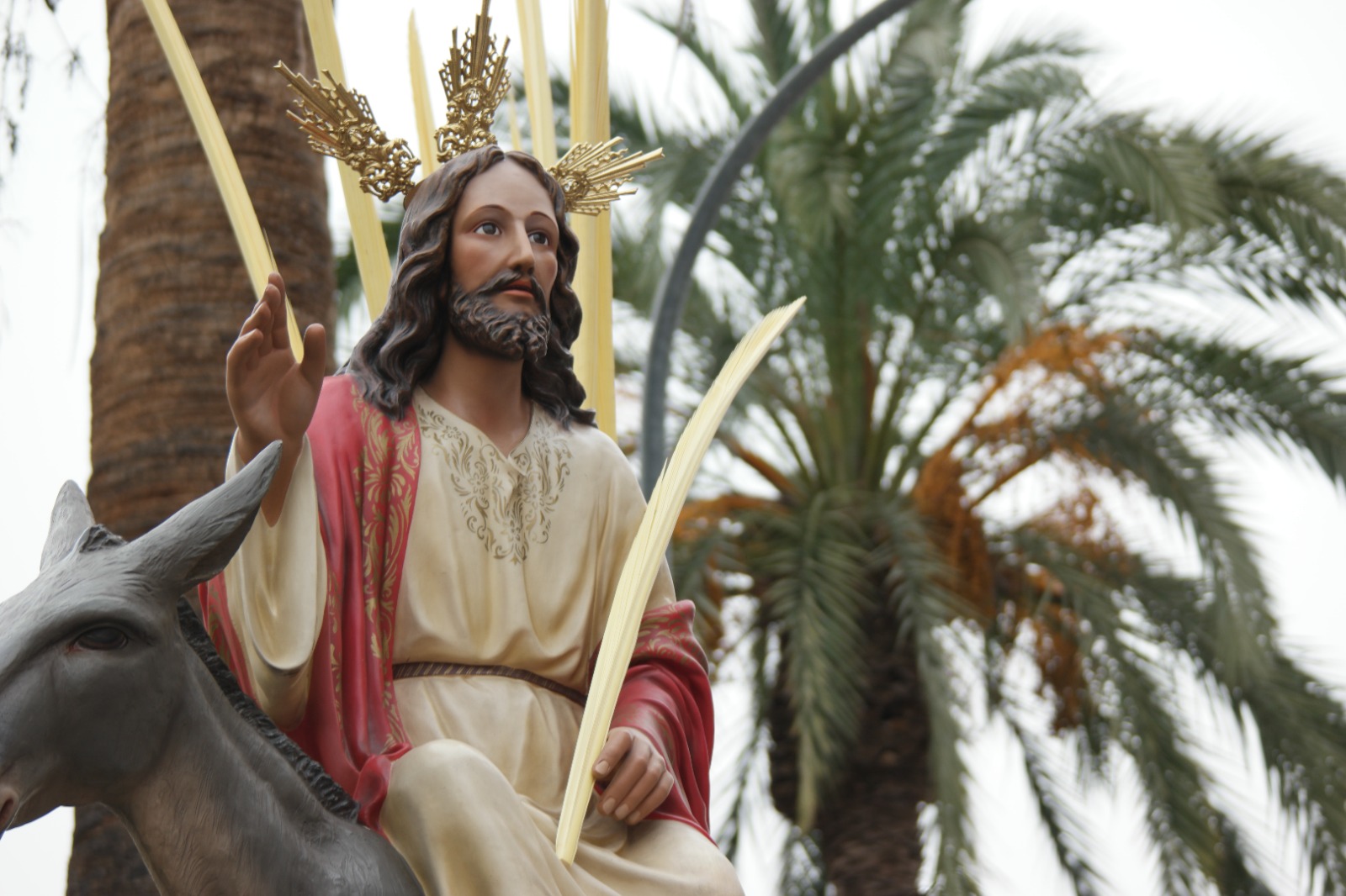 la borriquita domingo de ramos jesus db