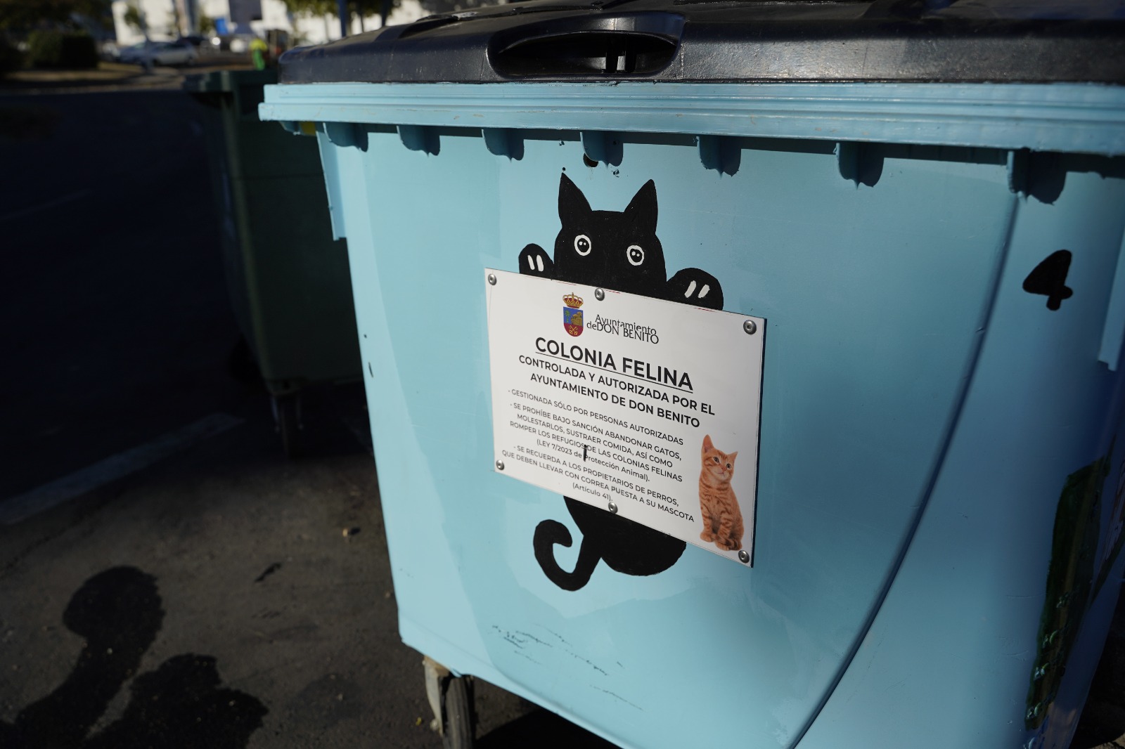 control felino 1