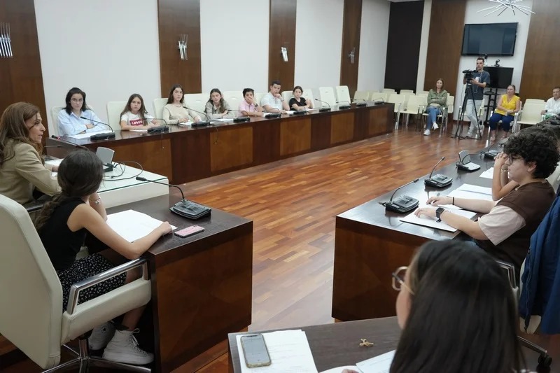 pleno nios 1