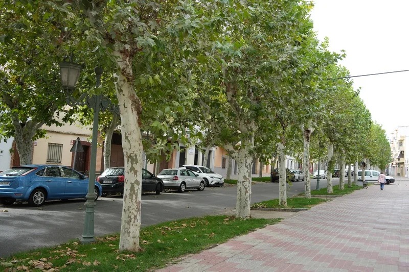 poda de calles vva