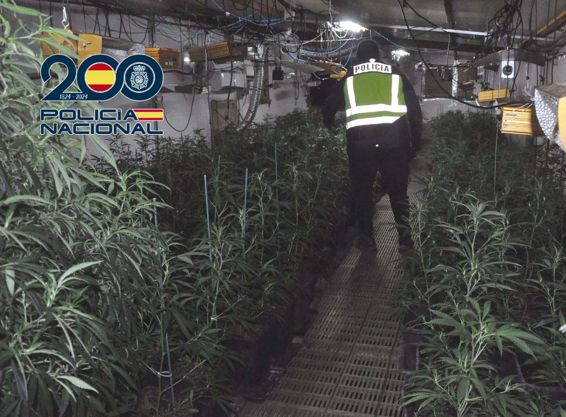 ARROYO BERROCAL MARIHUANA