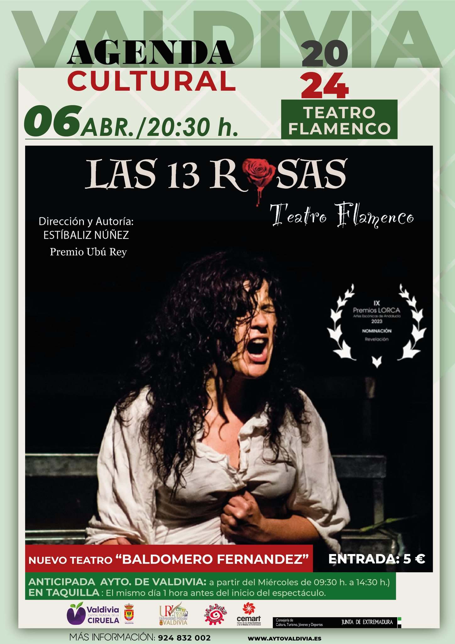 LAS 13 ROSAS VALDIVIA TEATRO