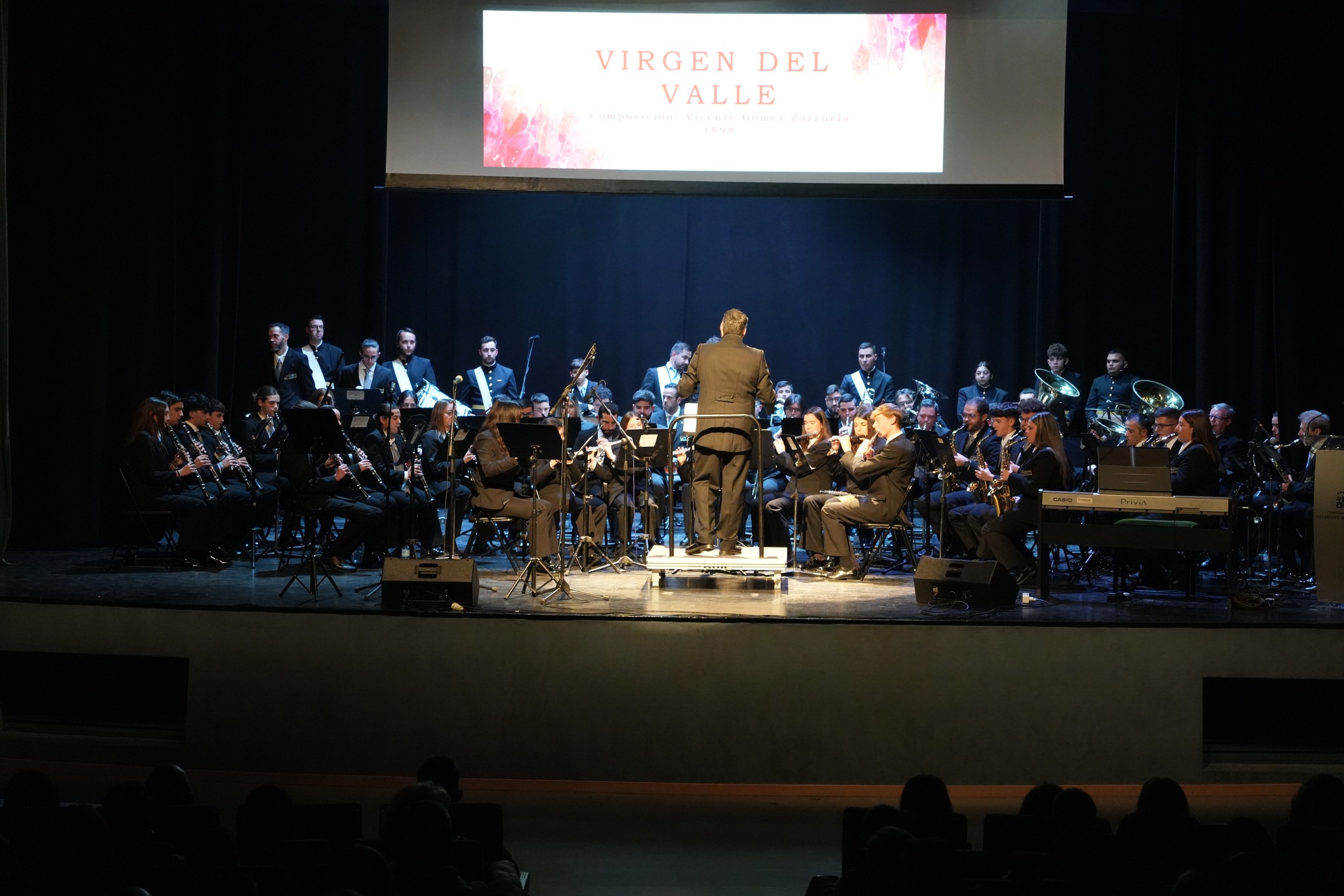 concierto banda musica vva