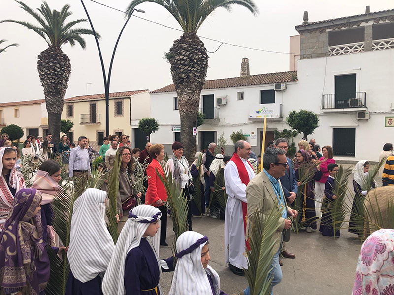domingo de ramos valdivia calle