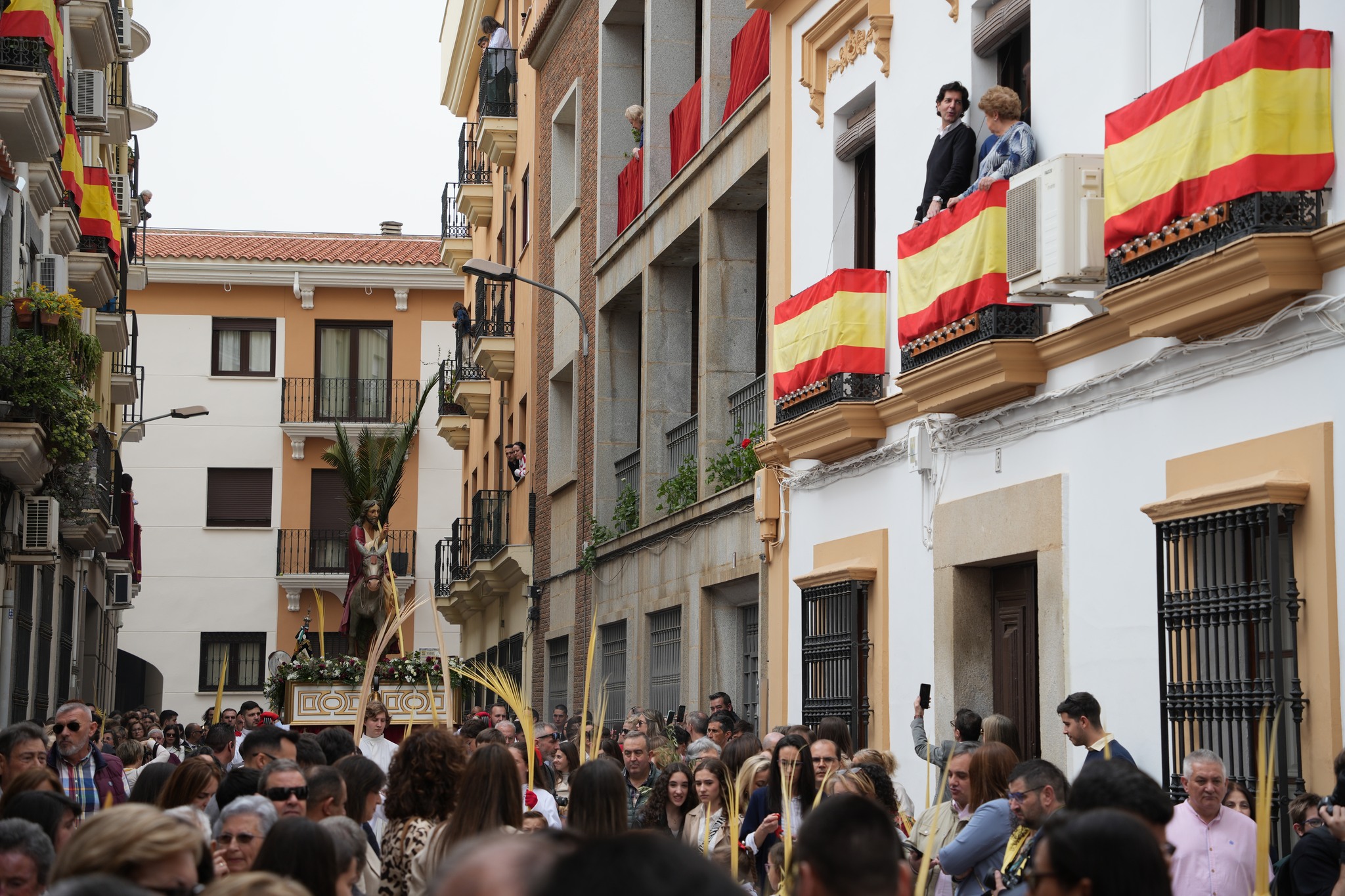 domingo de ramos vva gente