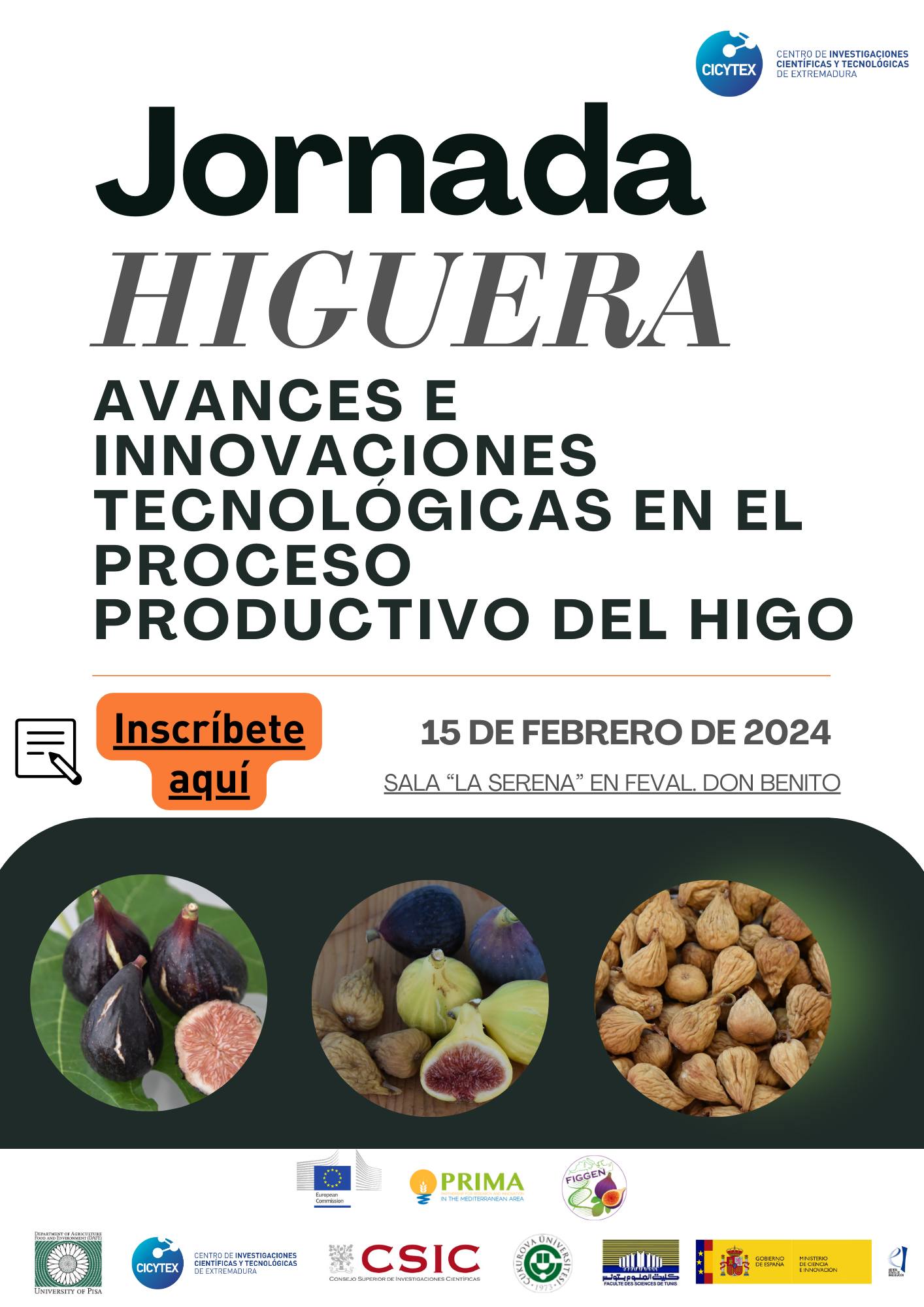 jornada higuera feval