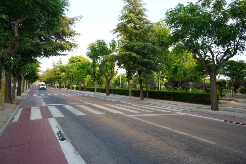arboles en villanueva