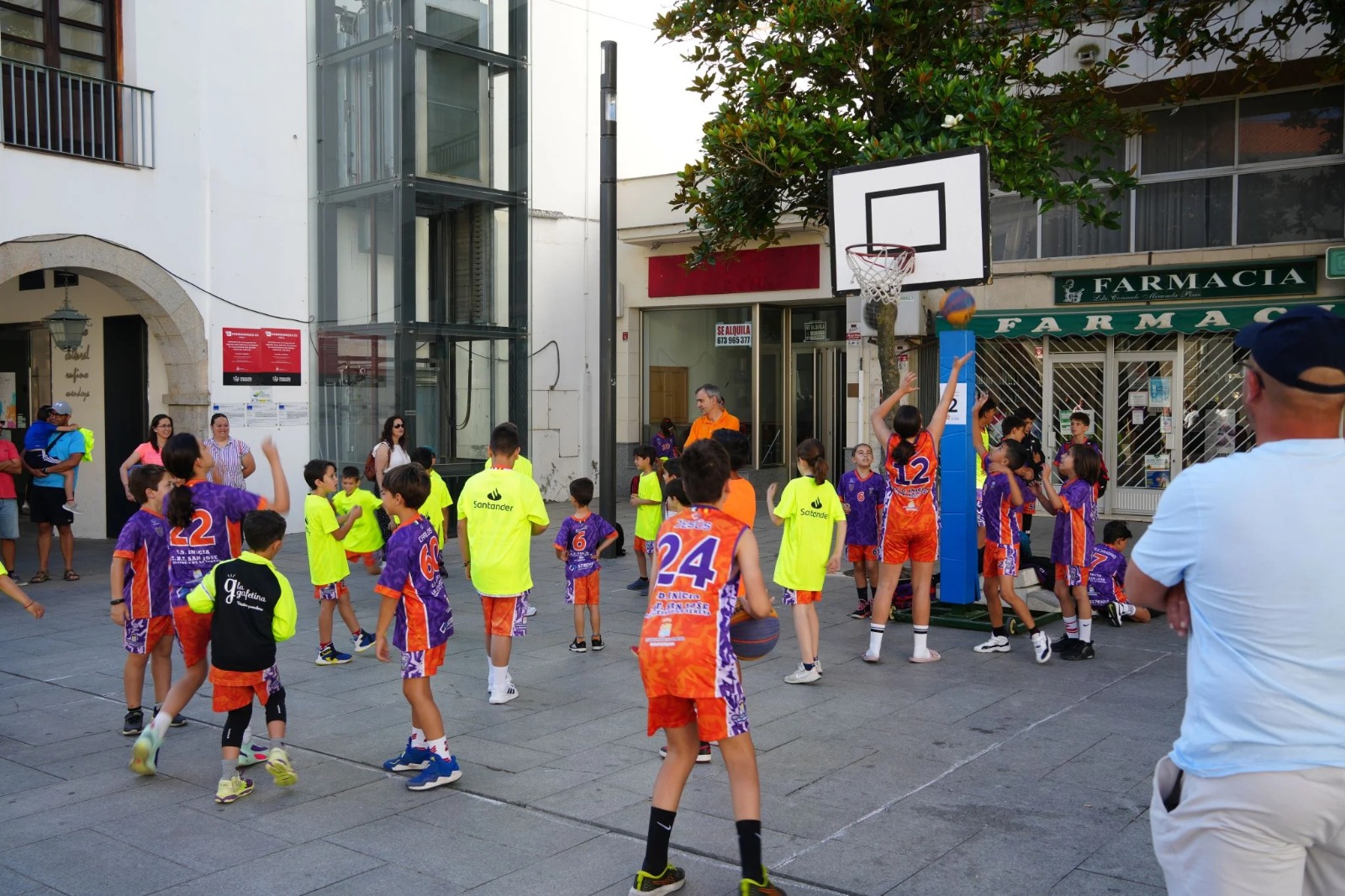 basket en vva
