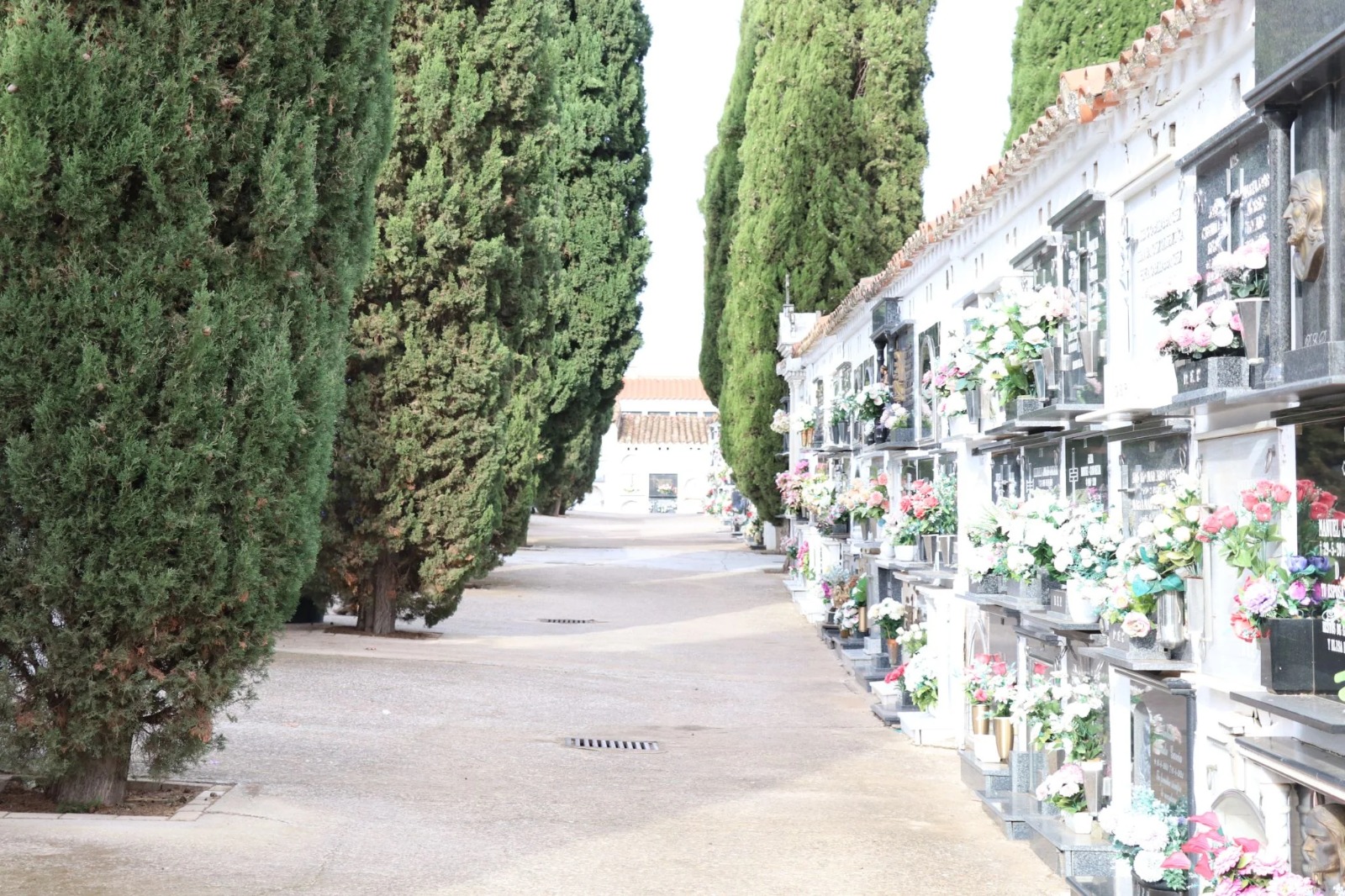 cementerio vva