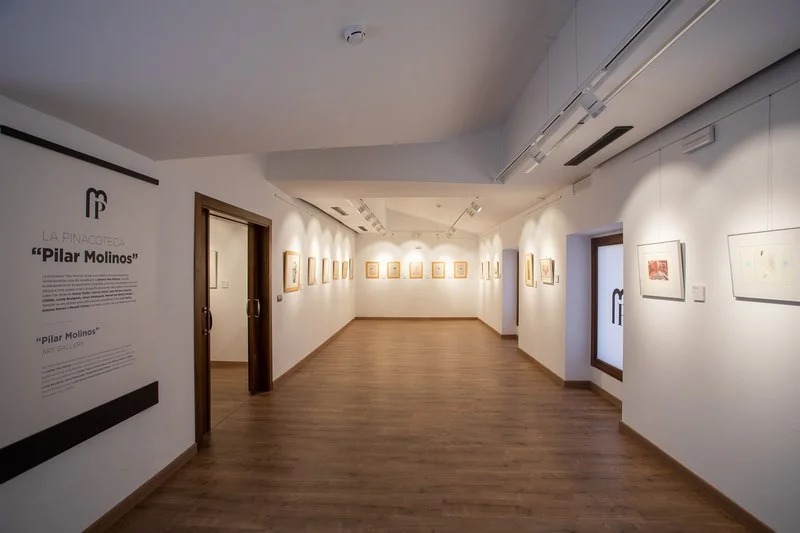 museo charo acero
