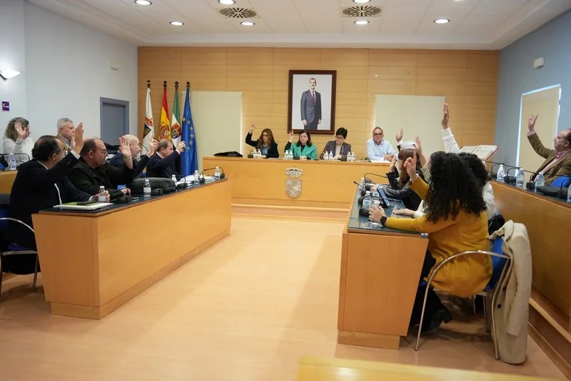 pleno manco dbvva