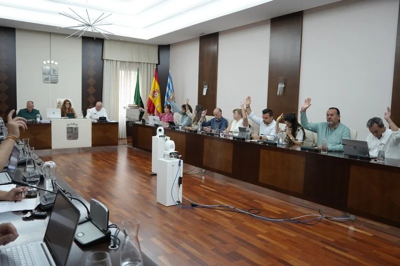 pleno villanueva