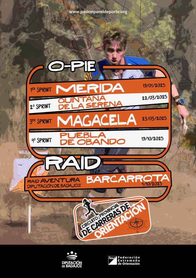 circuito dip1