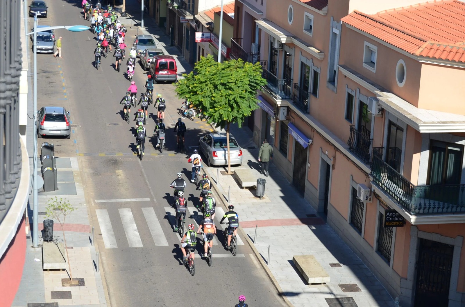 bicis vva