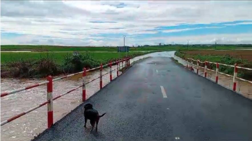 zujar en cuenca 1