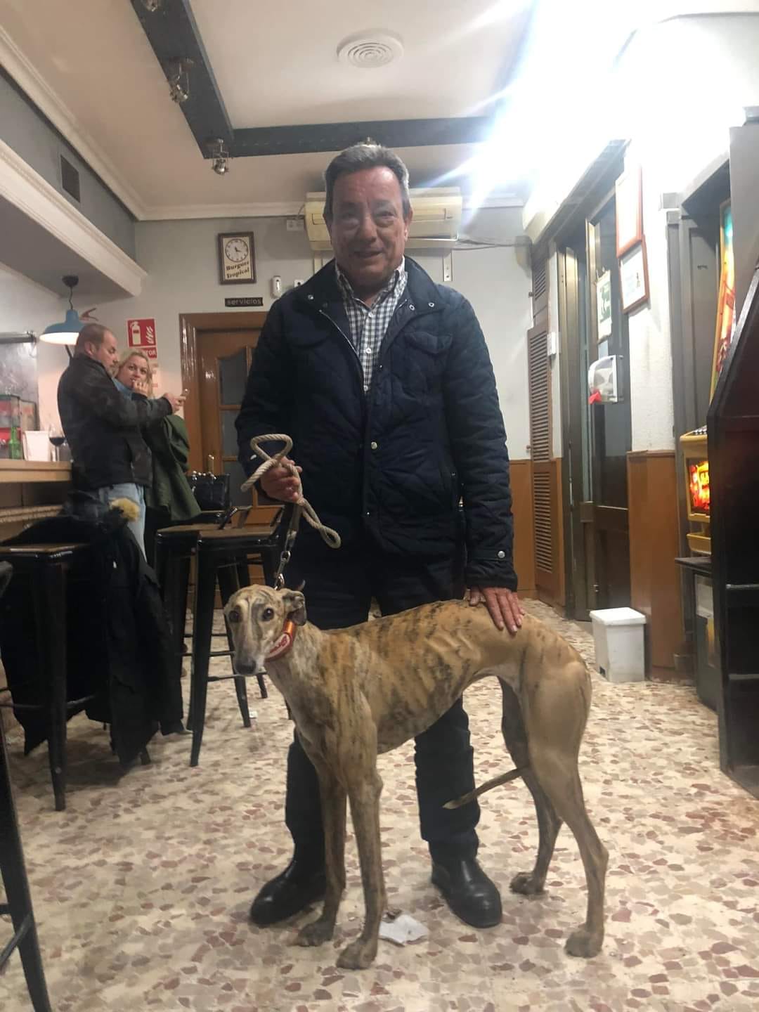 GALGO VALDIVIA ALCALDEE