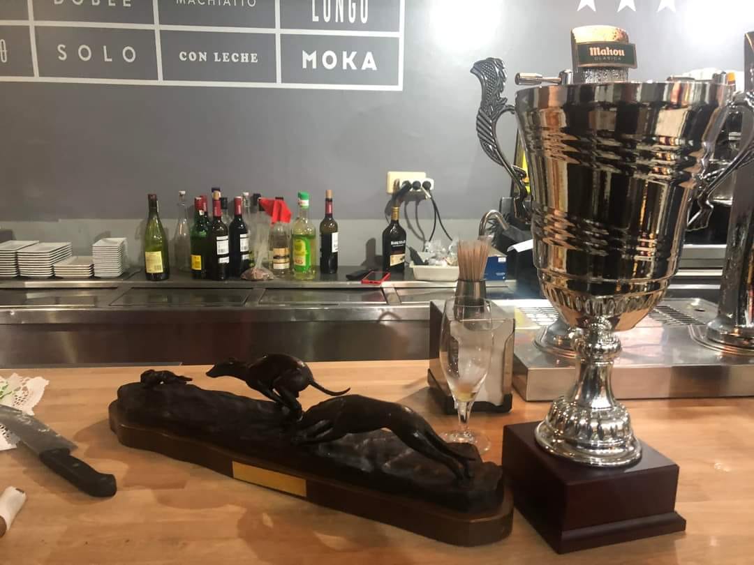 GALGO VALDIVIA TROFEOSS