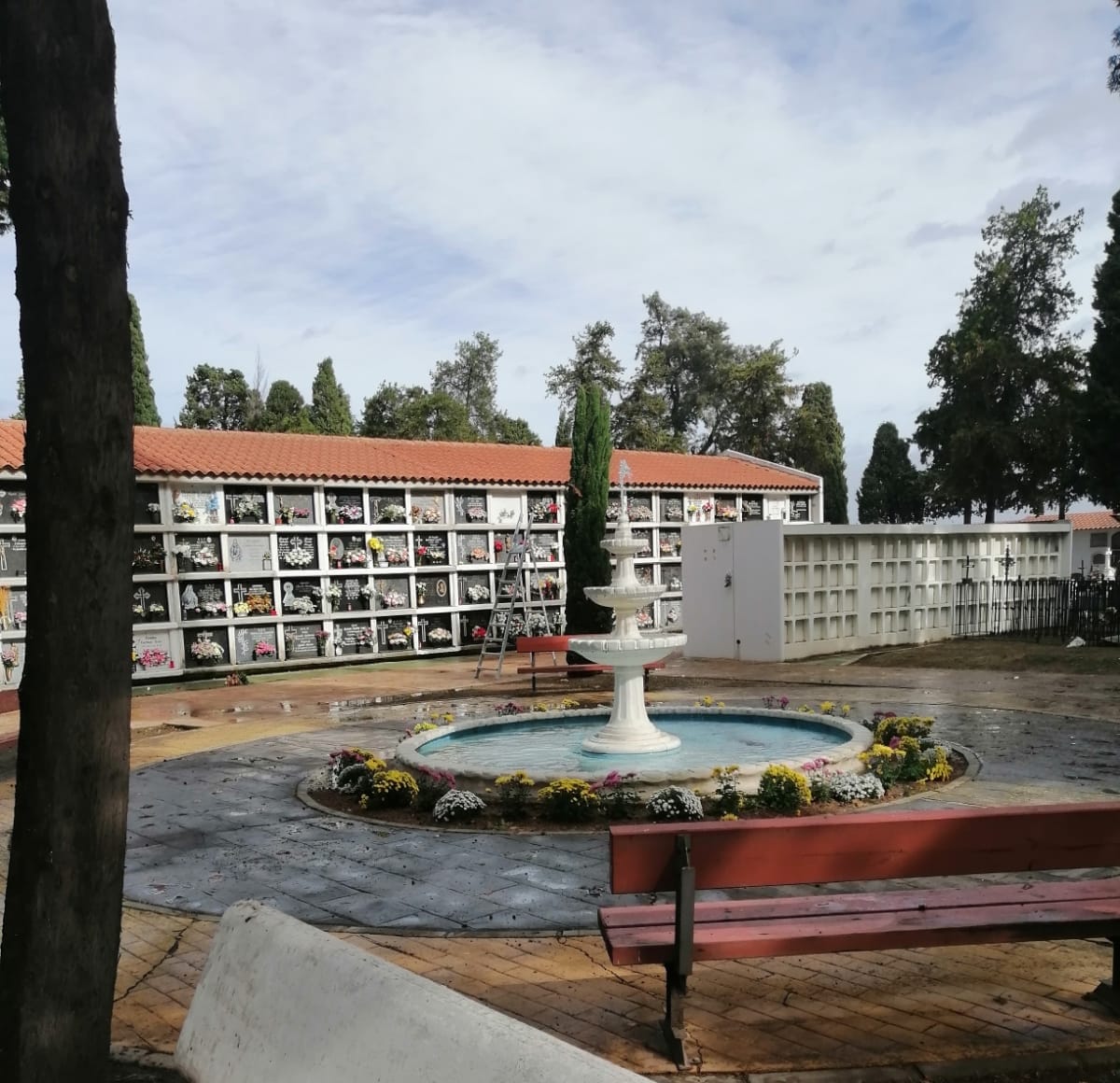 cementerio dbb