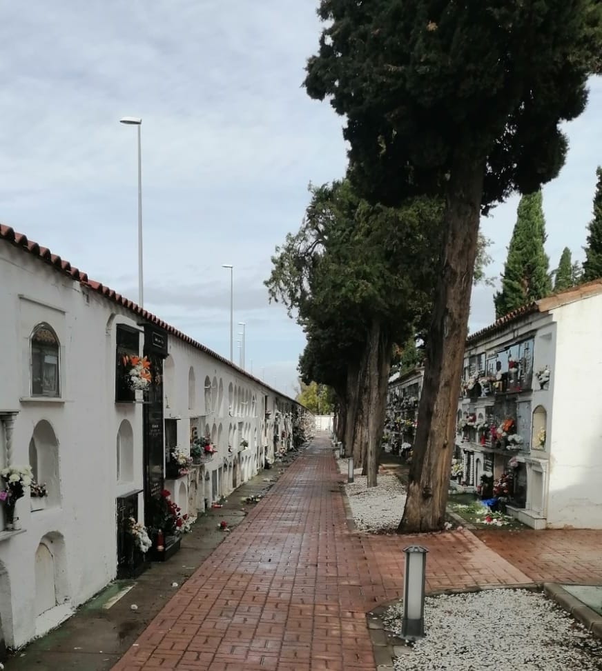 cementerio dbbb