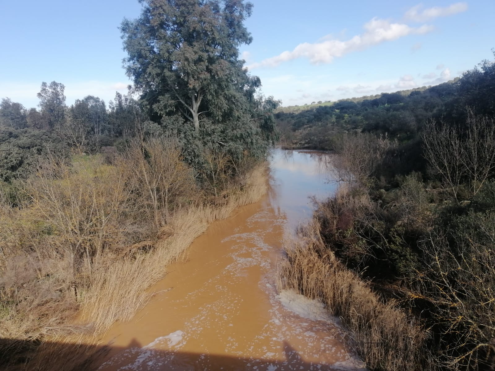 rio santa natalia
