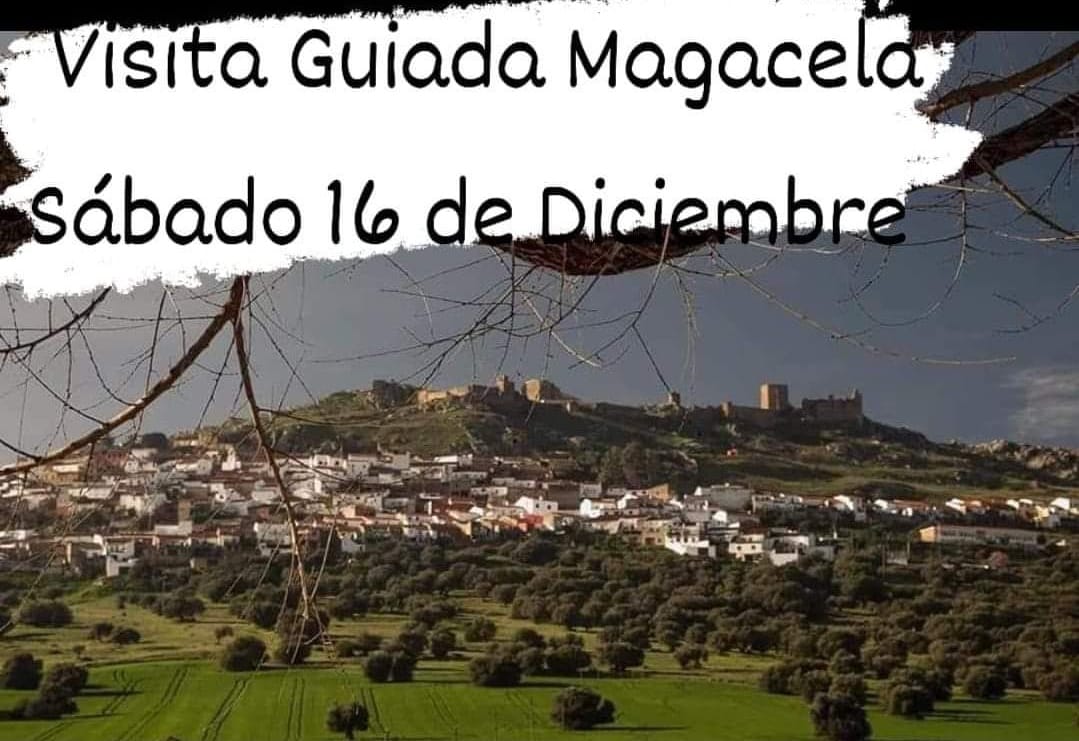 visita magacela