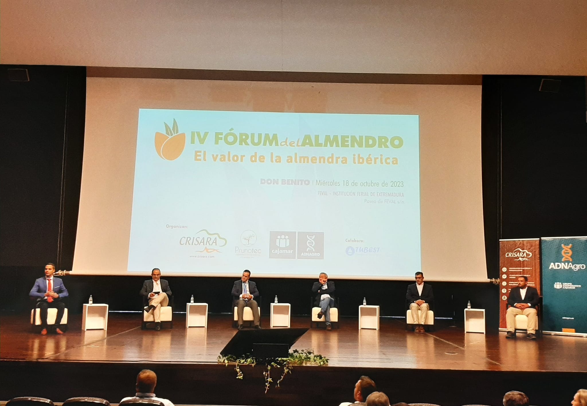 FORUM ALMENDRO DB