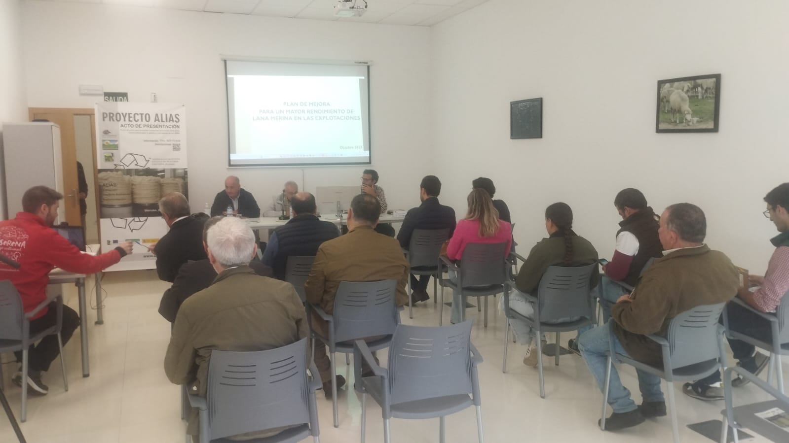 alias proyecto presentacion