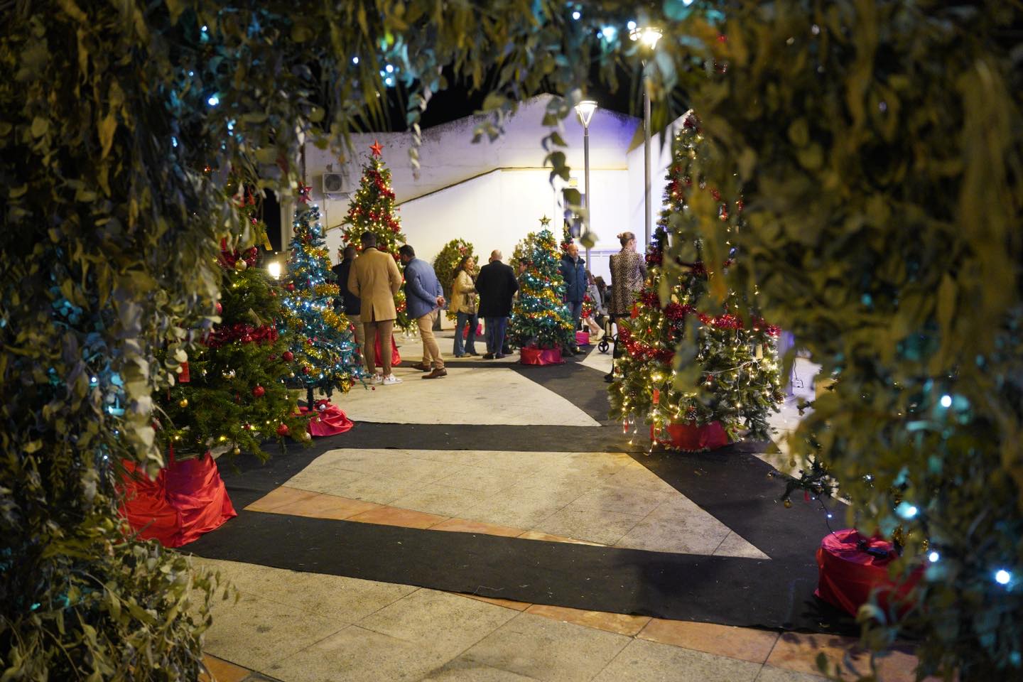 bosque de los deseos bonito