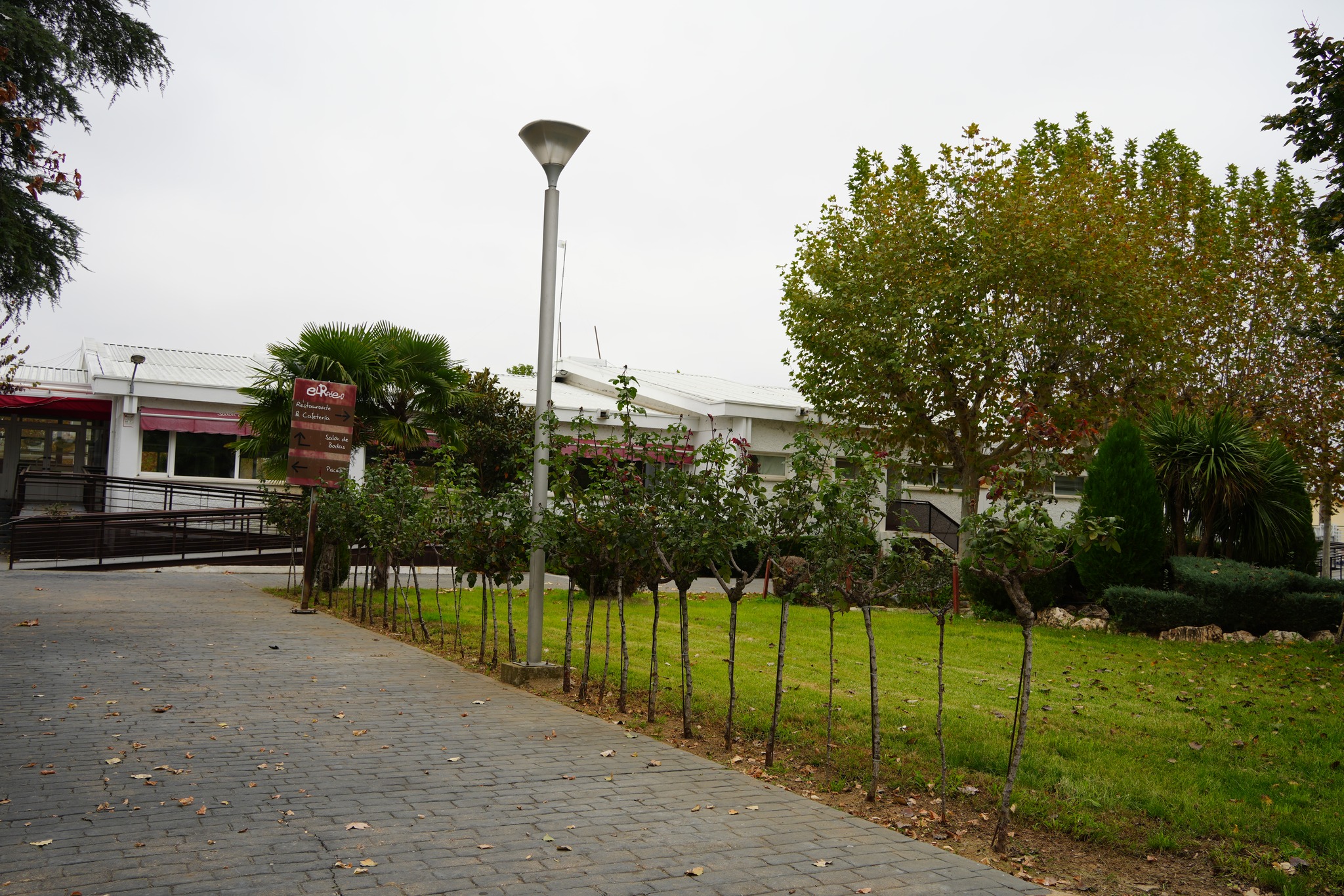 cafeteria el rodeo