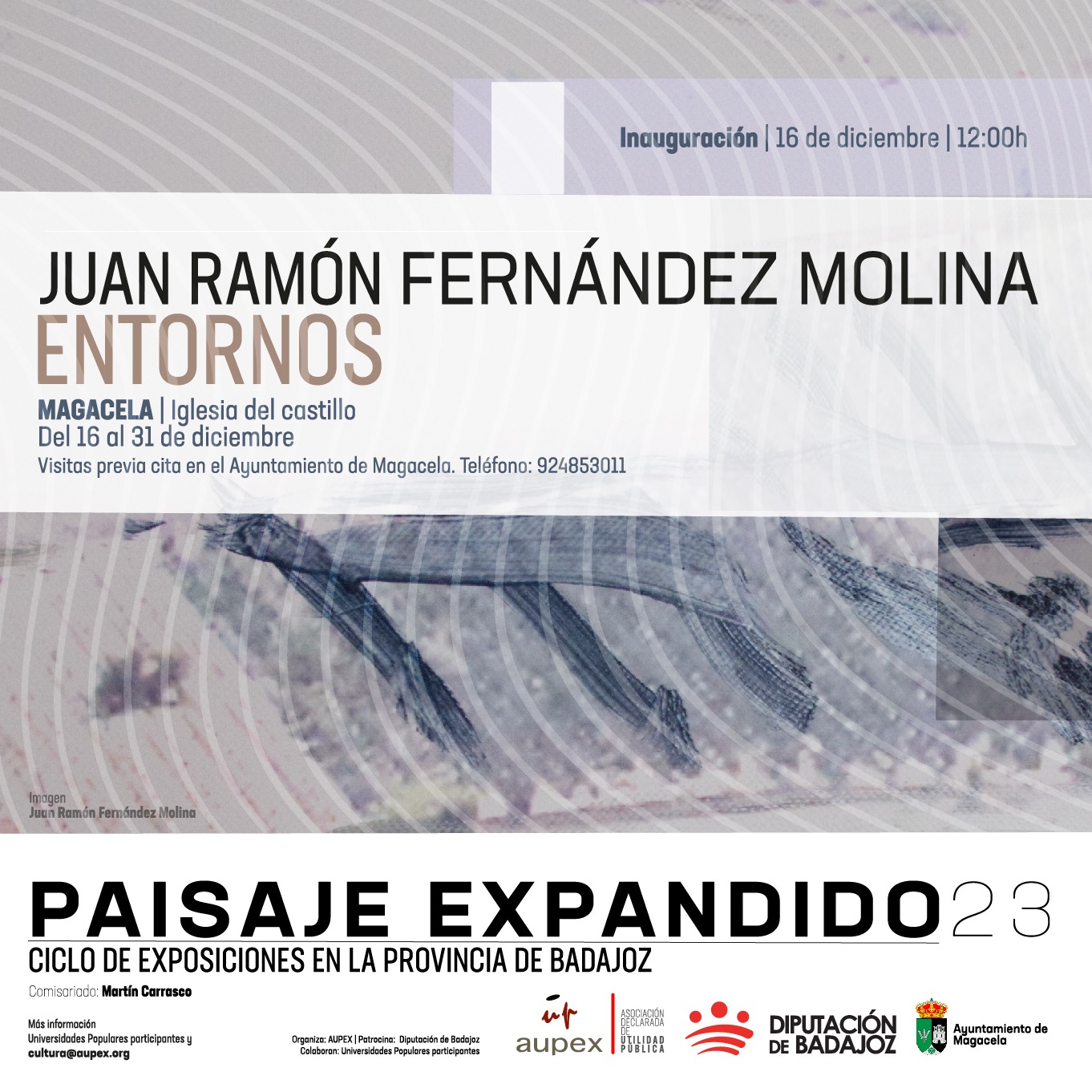 exposicion entornossss
