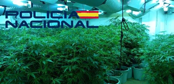 imagen marihuana calle suiza