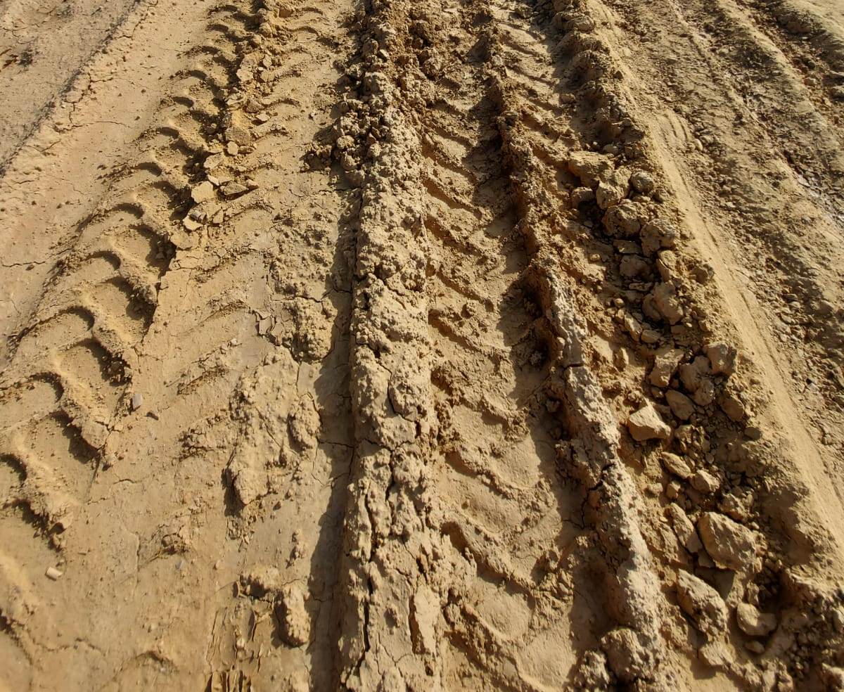 camino pela