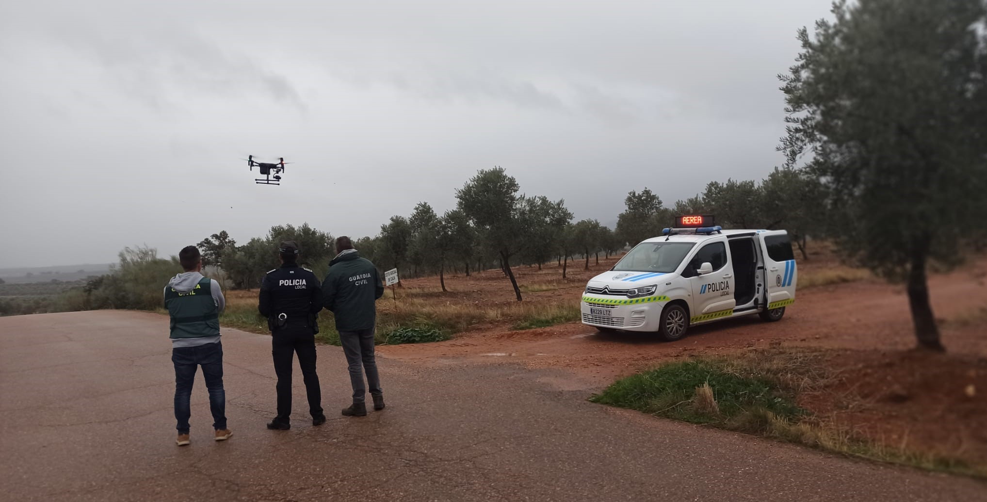 dispositivo seguridad aceitunas