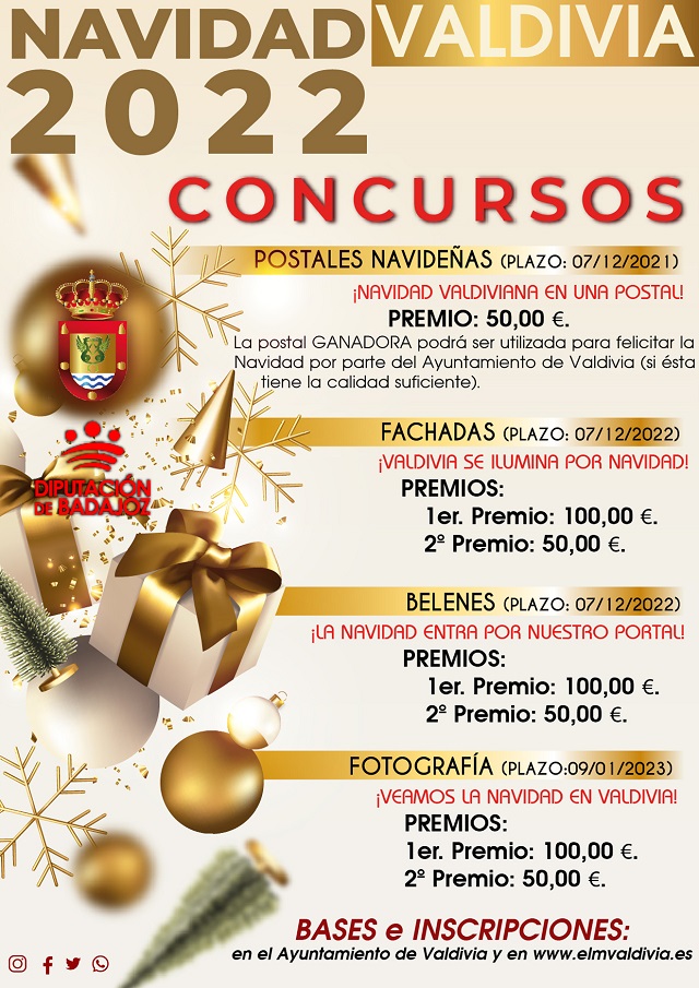 concursos valdivia