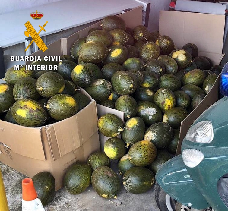 melones