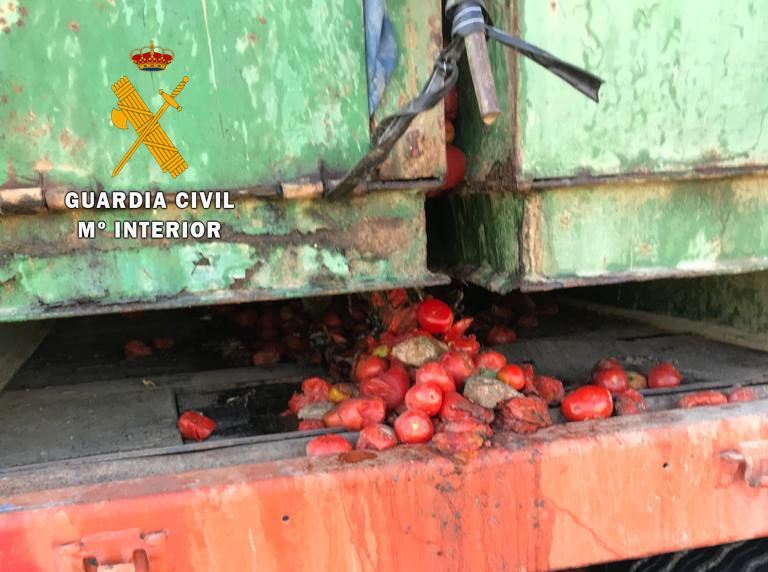 cuba tomate
