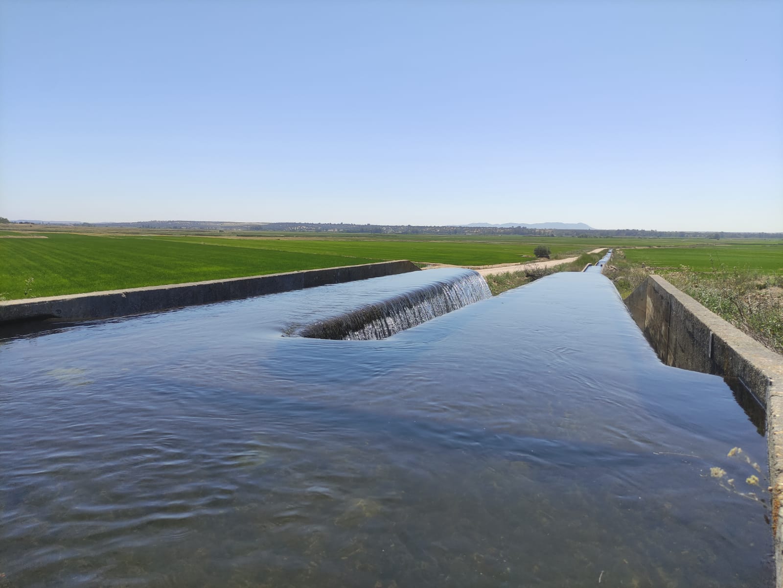 canal orellana