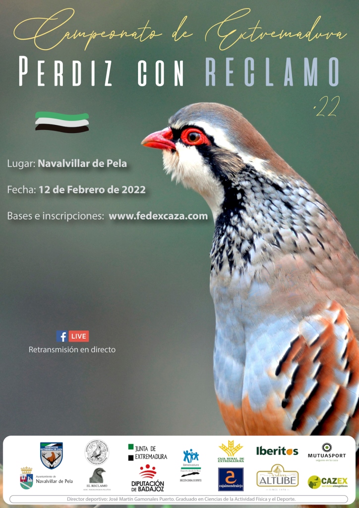 caza perdiz