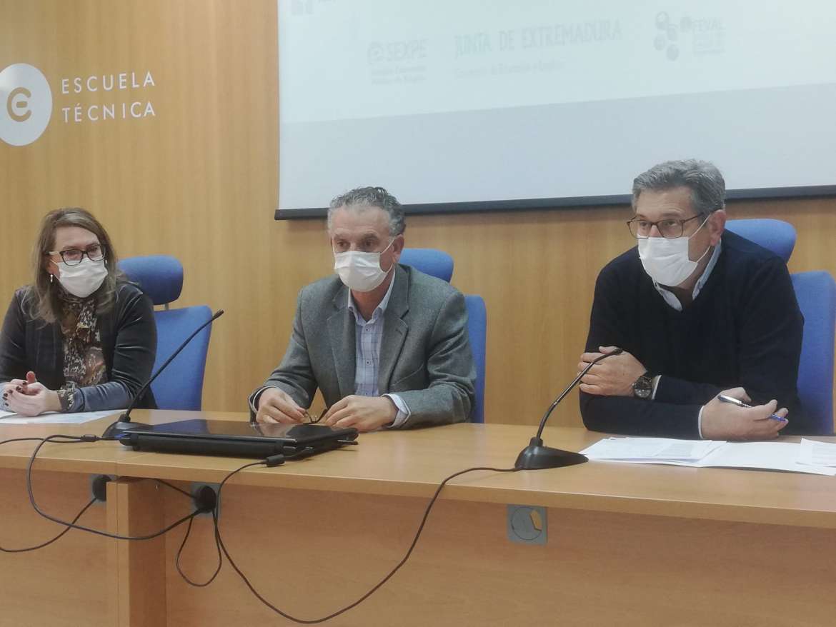 feval plan formativo