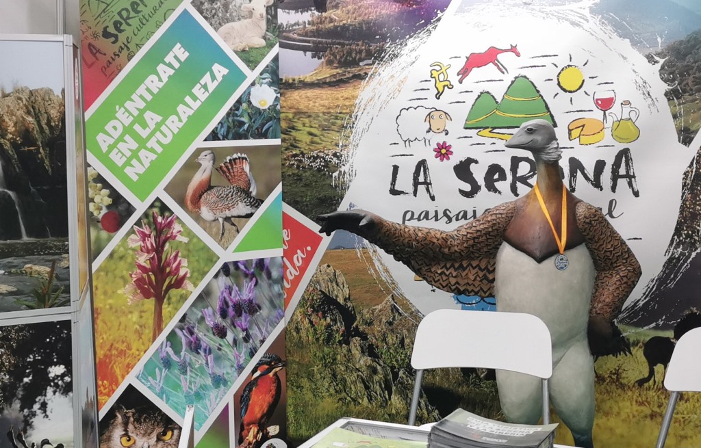 la serena fio